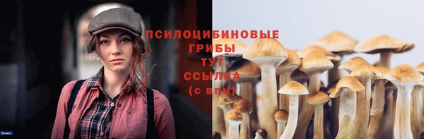 2c-b Алексеевка