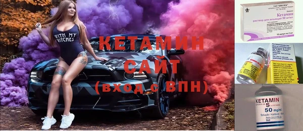 шишки Пересвет