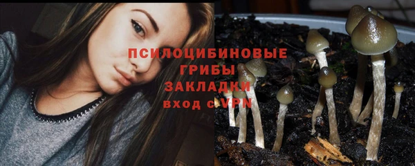 2c-b Алексеевка